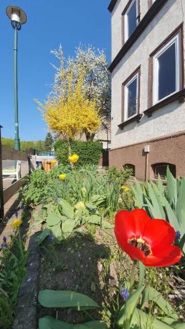 Schoene Aussicht, Wallbox, 70Qm, Kontaktloser Check-In Eisenach Exterior foto
